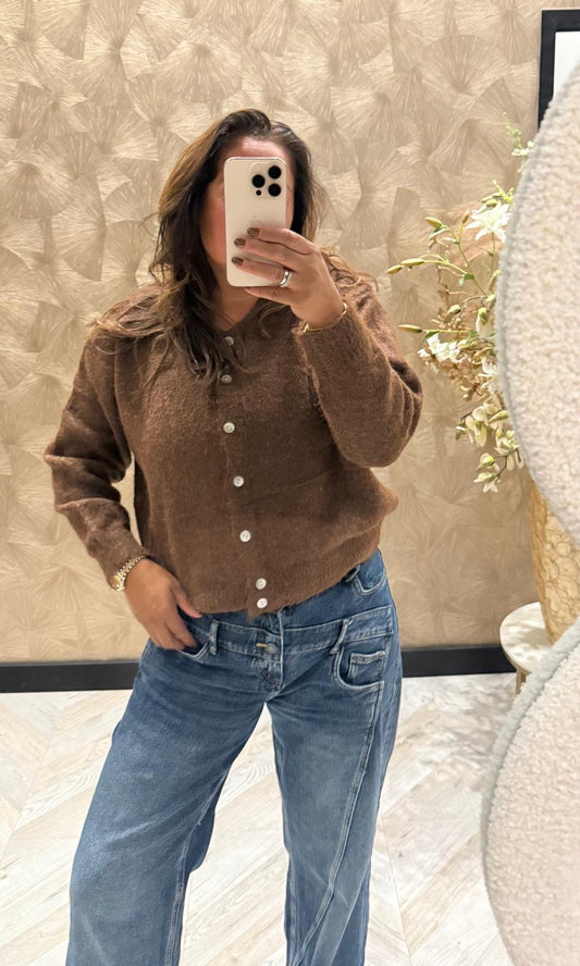 Minoushe bruine vest