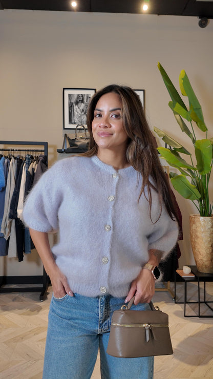 Celine vest grey strass knopen