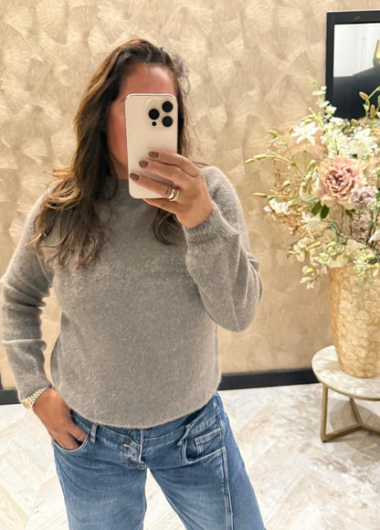 Laura Alpaca taupe trui