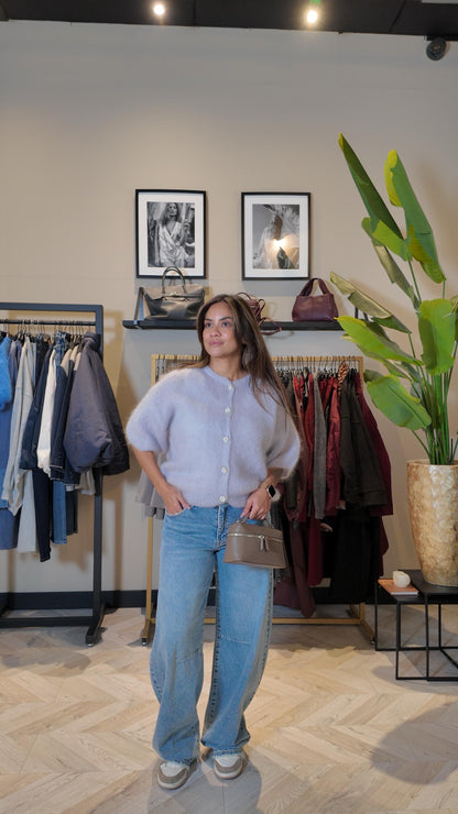 Celine vest grey strass knopen