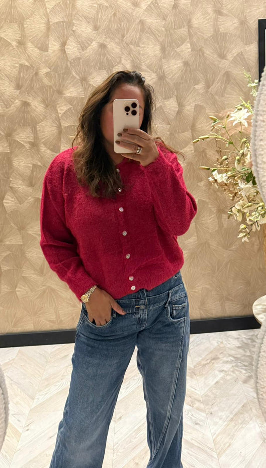 Minoushe vest rood